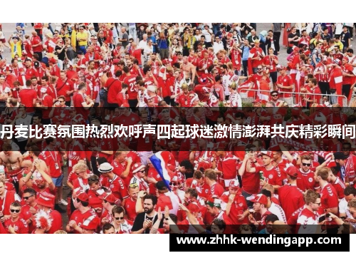 丹麦比赛氛围热烈欢呼声四起球迷激情澎湃共庆精彩瞬间