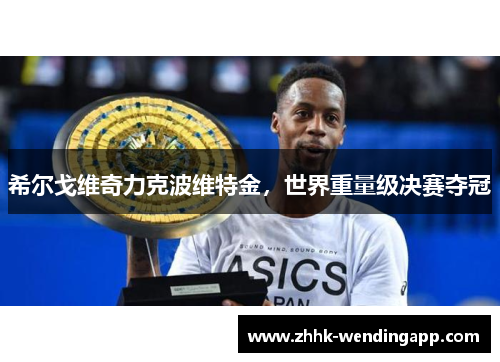 希尔戈维奇力克波维特金，世界重量级决赛夺冠