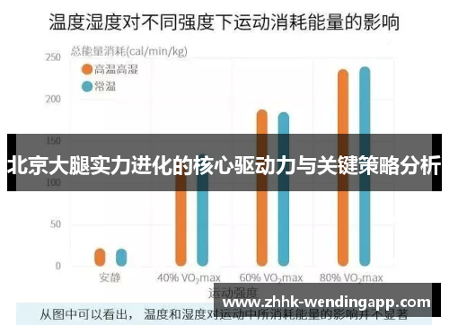 北京大腿实力进化的核心驱动力与关键策略分析