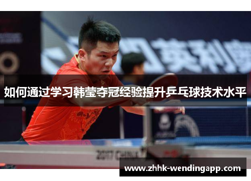 如何通过学习韩莹夺冠经验提升乒乓球技术水平